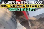 老人把死鸭子塞大货车车轮下讹司机 竟然持续碰瓷！